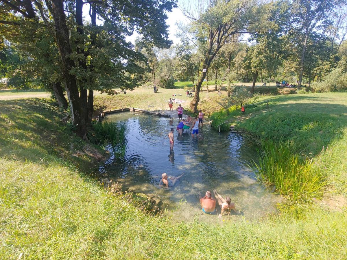 Cerklje ob Krki Holiday Home Toplica Natura With Natural Thermal Bath المظهر الخارجي الصورة